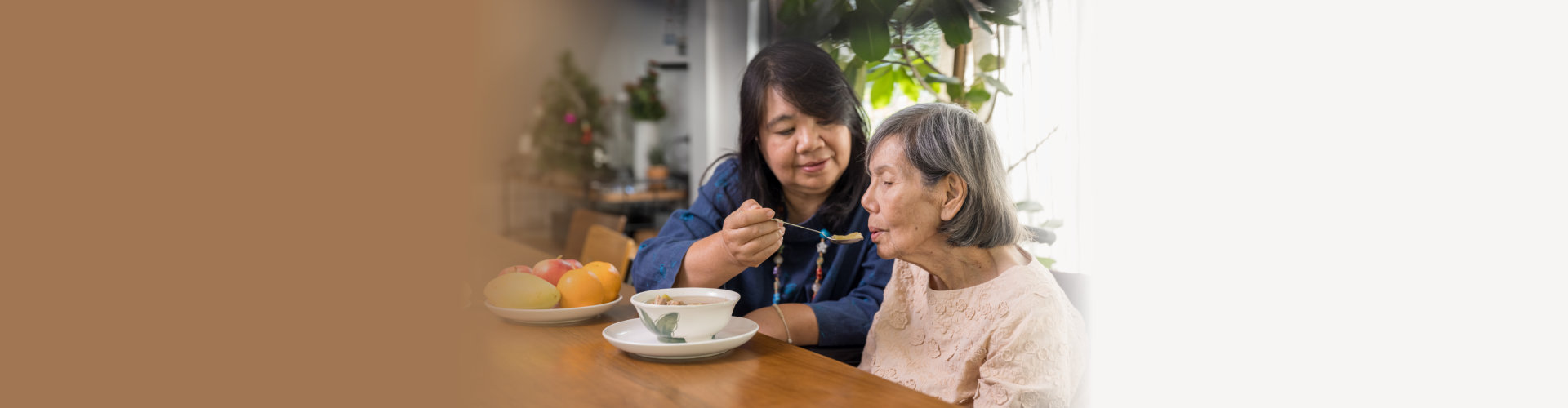 caregiver feeding an elderly